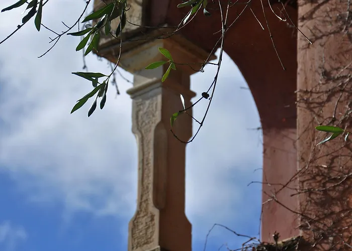 Manavra فيلة *