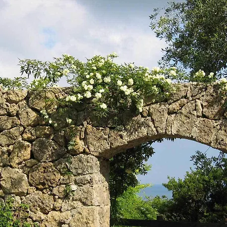 Manavra